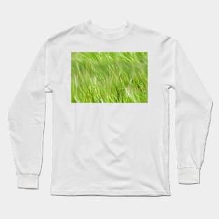 Layers of barley moving in the breeze - field in Yorkshire Long Sleeve T-Shirt